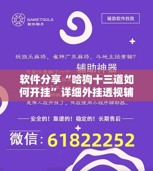 软件分享“哈狗十三道如何开挂”详细外挂透视辅助软件教程