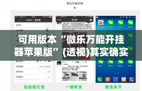 可用版本“微乐万能开挂器苹果版”(透视)其实确实有挂
