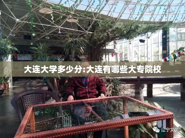 大连大学多少分:大连有哪些大专院校