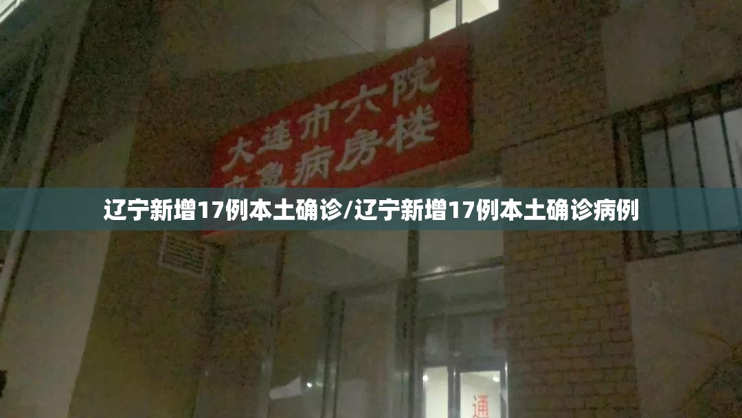 辽宁新增17例本土确诊/辽宁新增17例本土确诊病例