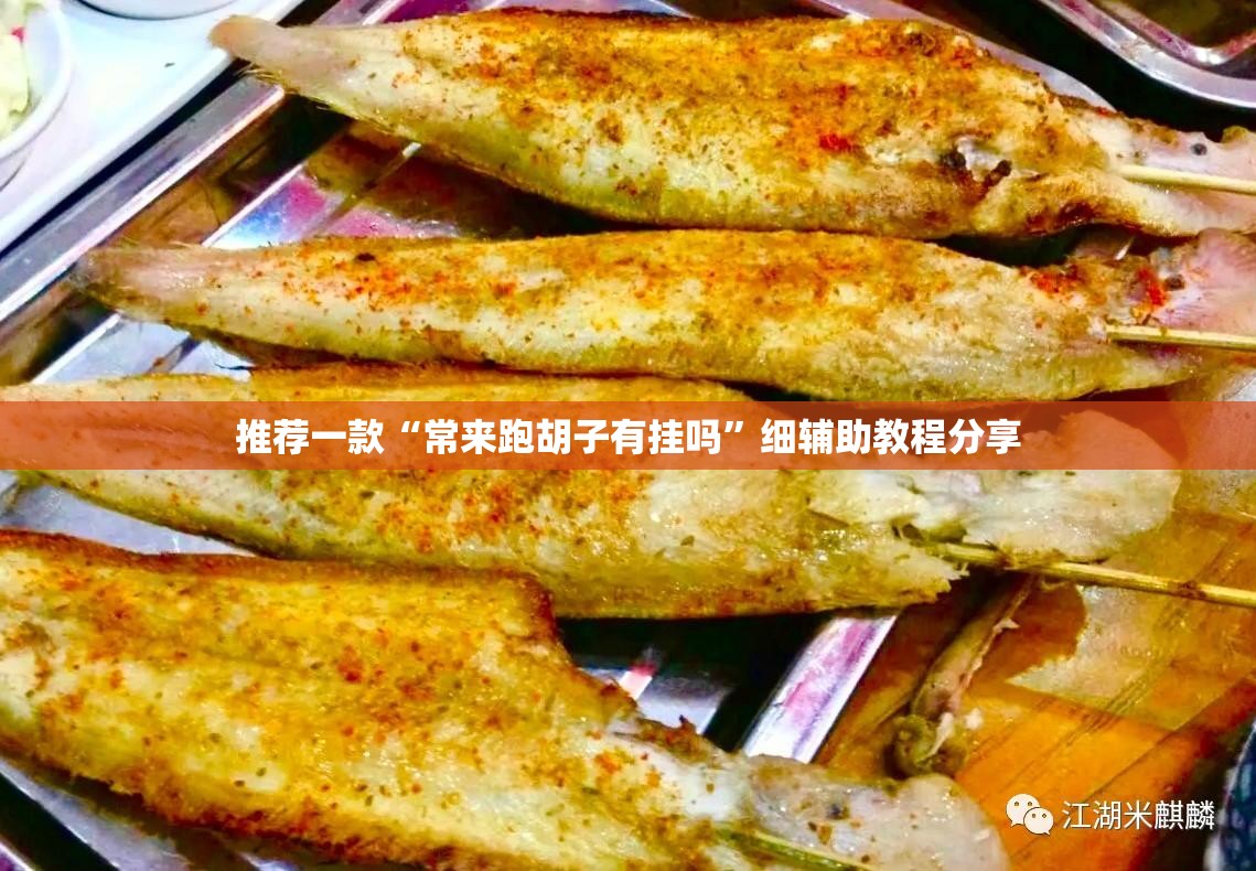推荐一款“常来跑胡子有挂吗”细辅助教程分享