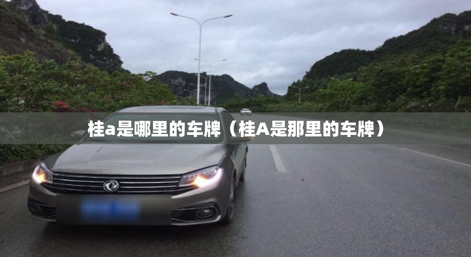 桂a是哪里的车牌（桂A是那里的车牌）