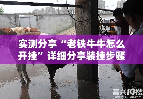 实测分享“老铁牛牛怎么开挂	”详细分享装挂步骤