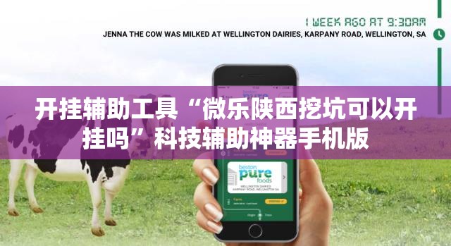 开挂辅助工具“微乐陕西挖坑可以开挂吗”科技辅助神器手机版