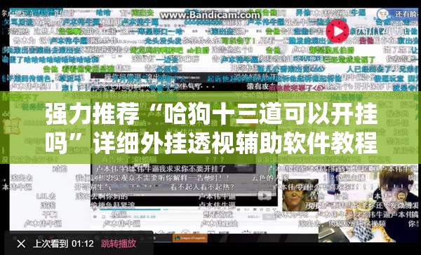 强力推荐“哈狗十三道可以开挂吗”详细外挂透视辅助软件教程