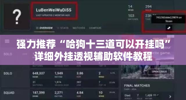 强力推荐“哈狗十三道可以开挂吗”详细外挂透视辅助软件教程