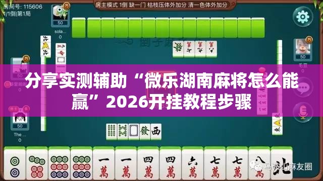 分享实测辅助“微乐湖南麻将怎么能赢”2026开挂教程步骤