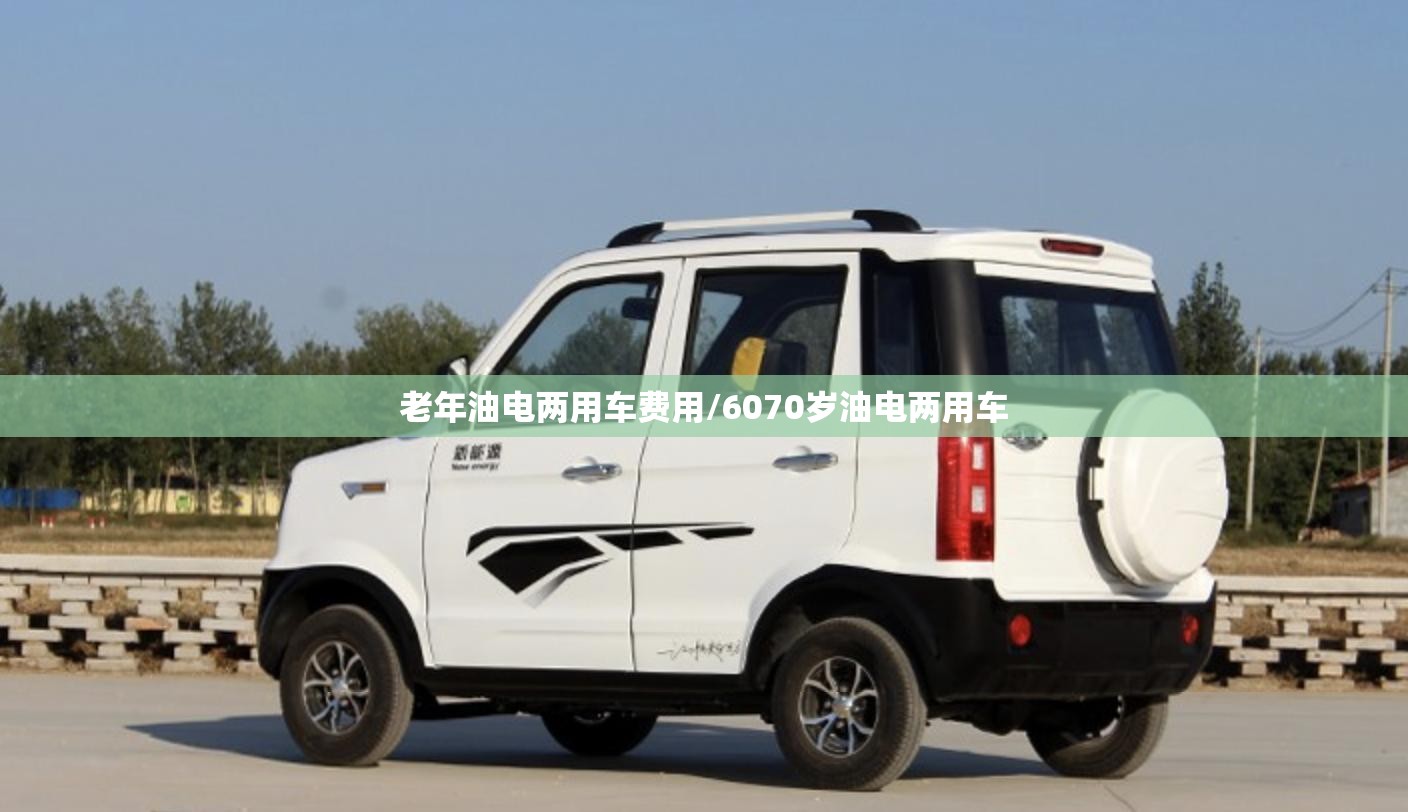 老年油电两用车费用/6070岁油电两用车 老年油电两用车费用/6070岁油电两用车