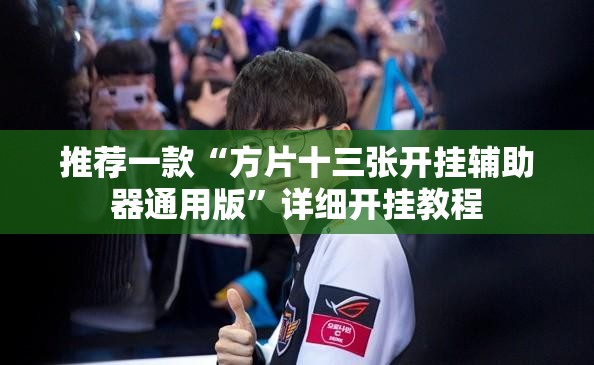 推荐一款“方片十三张开挂辅助器通用版”详细开挂教程