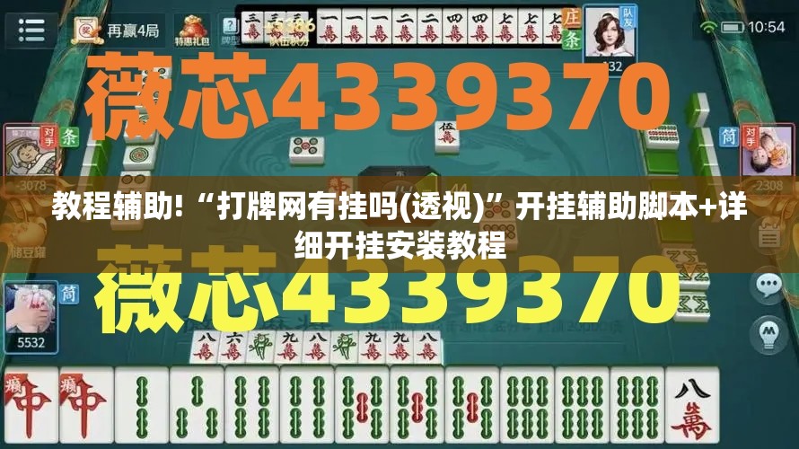 教程辅助!“打牌网有挂吗(透视)”开挂辅助脚本+详细开挂安装教程