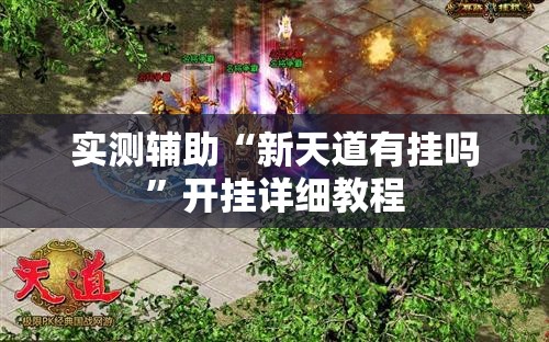 实测辅助“新天道有挂吗	”开挂详细教程