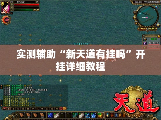 实测辅助“新天道有挂吗”开挂详细教程