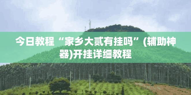 今日教程“家乡大贰有挂吗”(辅助神器)开挂详细教程
