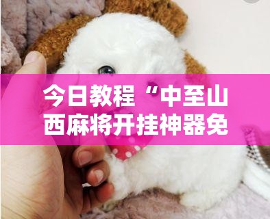 今日教程“中至山西麻将开挂神器免费	”细辅助教程分享