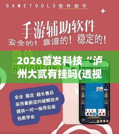 2026首发科技“泸州大贰有挂吗(透视)”开挂辅助脚本+详细开挂安装教程
