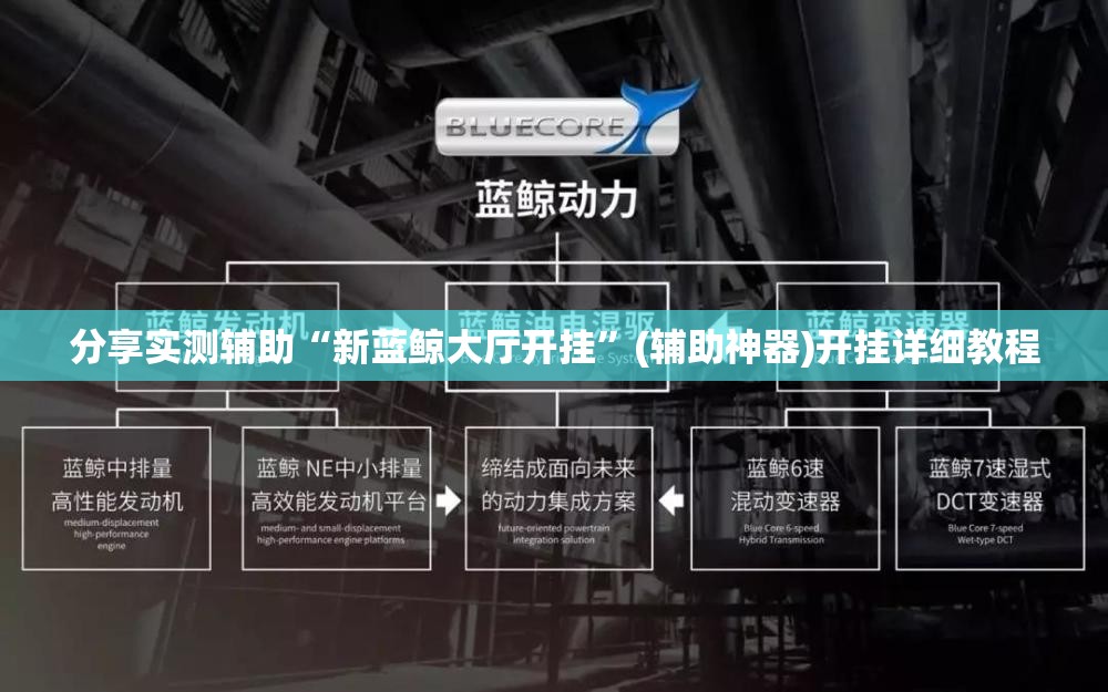 分享实测辅助“新蓝鲸大厅开挂”(辅助神器)开挂详细教程