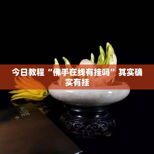 今日教程“佛手在线有挂吗	”其实确实有挂