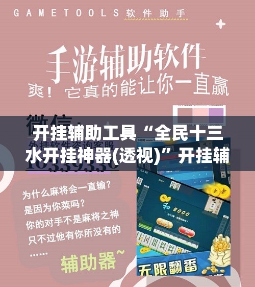 开挂辅助工具“全民十三水开挂神器(透视)	”开挂辅助脚本+详细开挂安装教程