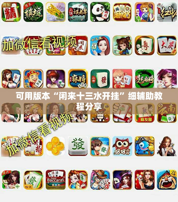 可用版本“闲来十三水开挂	”细辅助教程分享