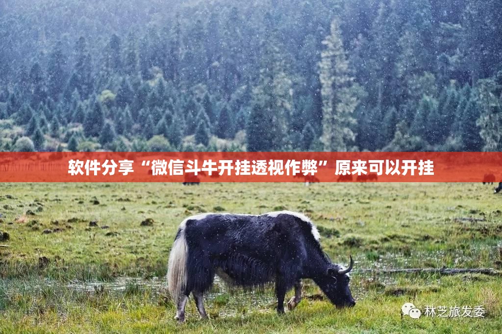 软件分享“微信斗牛开挂透视作弊”原来可以开挂