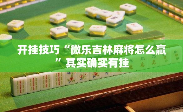 开挂技巧“微乐吉林麻将怎么赢”其实确实有挂