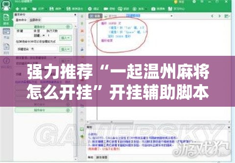 强力推荐“一起温州麻将怎么开挂	”开挂辅助脚本+详细开挂安装教程