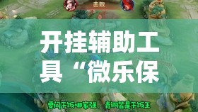 开挂辅助工具“微乐保皇有没有挂”2026开挂教程步骤