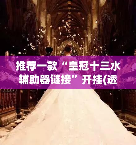 推荐一款“皇冠十三水辅助器链接”开挂(透视)辅助神器