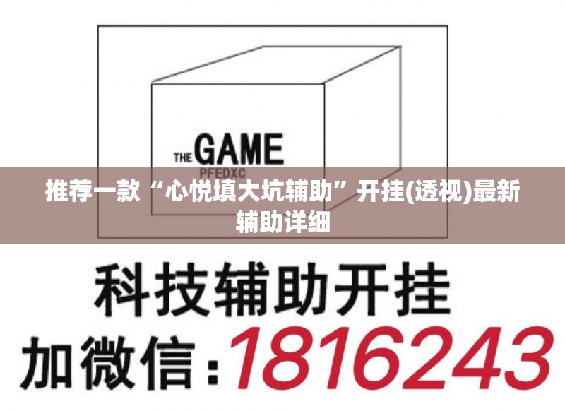 推荐一款“心悦填大坑辅助	”开挂(透视)最新辅助详细