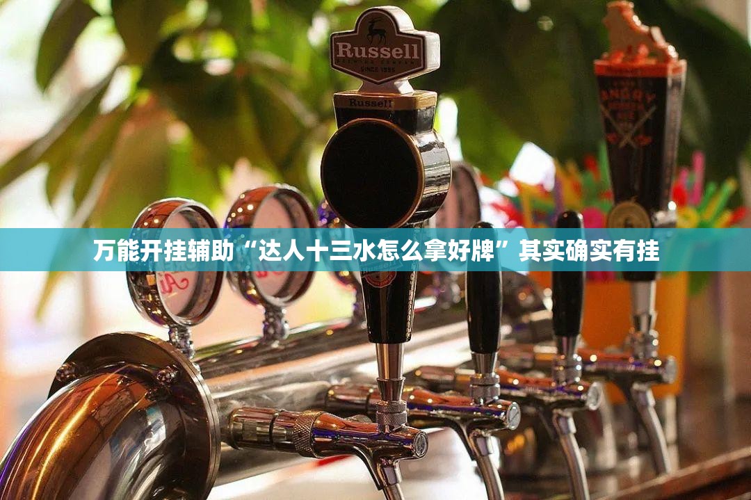 万能开挂辅助“达人十三水怎么拿好牌	”其实确实有挂