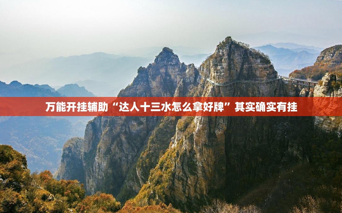 万能开挂辅助“达人十三水怎么拿好牌”其实确实有挂
