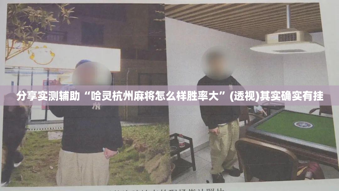 分享实测辅助“哈灵杭州麻将怎么样胜率大”(透视)其实确实有挂