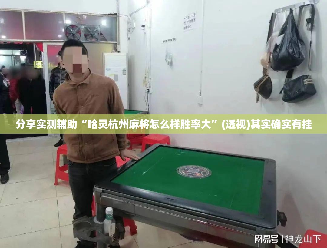 分享实测辅助“哈灵杭州麻将怎么样胜率大”(透视)其实确实有挂