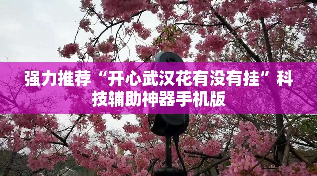 强力推荐“开心武汉花有没有挂	”科技辅助神器手机版