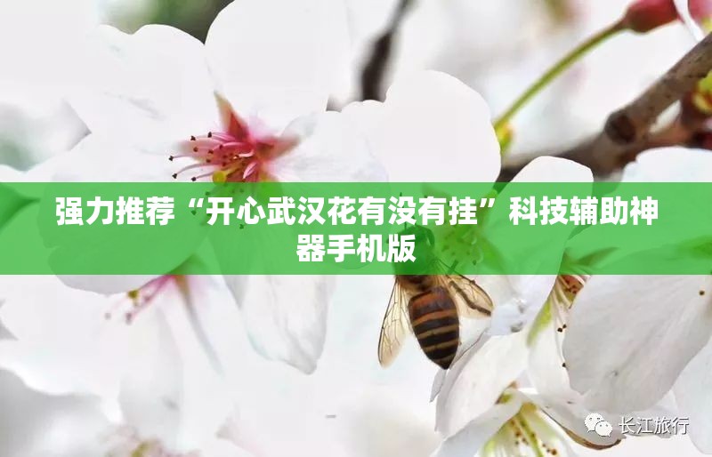 强力推荐“开心武汉花有没有挂”科技辅助神器手机版