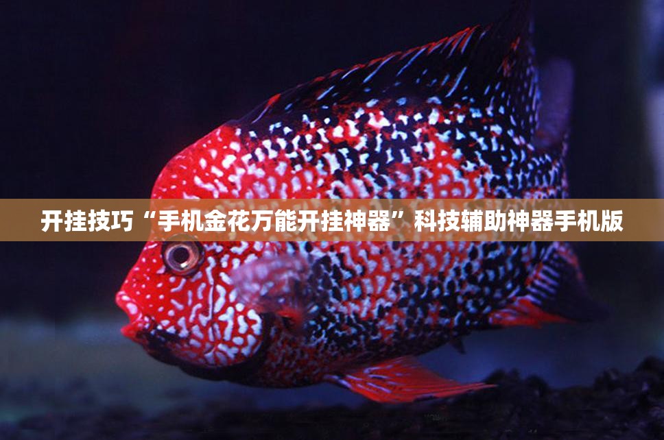 开挂技巧“手机金花万能开挂神器	”科技辅助神器手机版