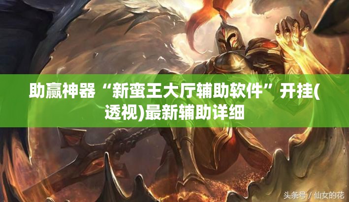 助赢神器“新蛮王大厅辅助软件”开挂(透视)最新辅助详细