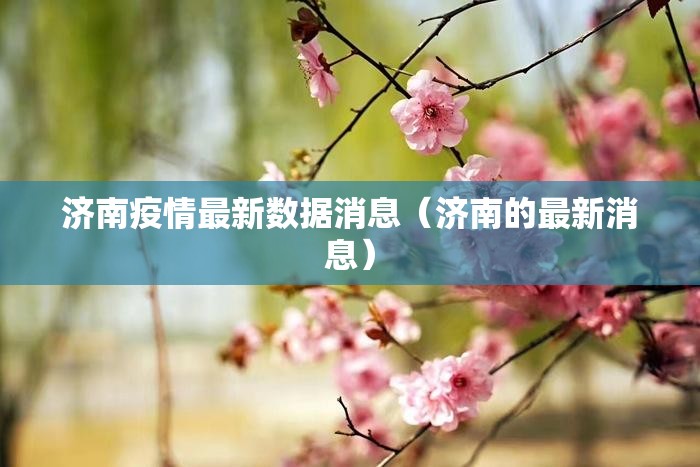 济南疫情最新数据消息（济南的最新消息）