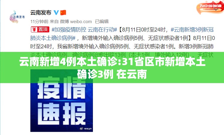 云南新增4例本土确诊:31省区市新增本土确诊3例 在云南
