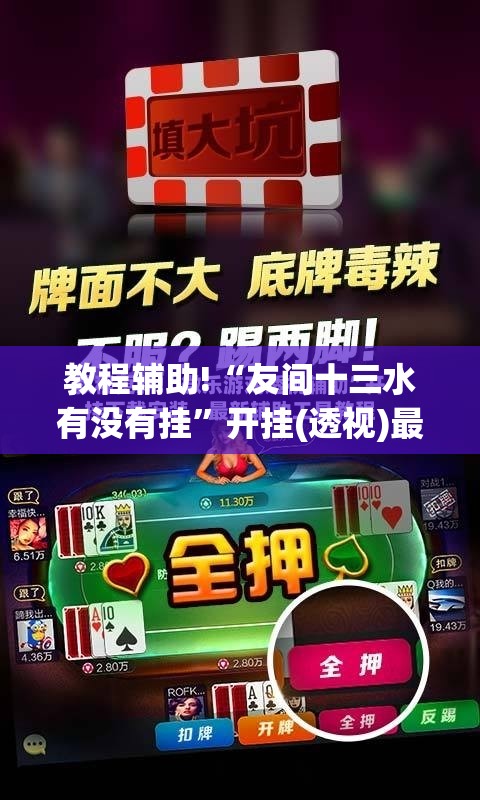 教程辅助!“友间十三水有没有挂”开挂(透视)最新辅助详细