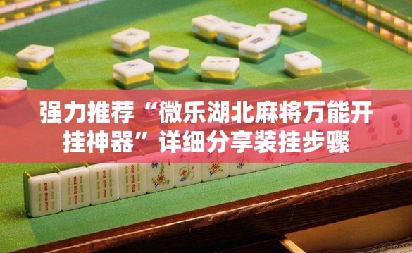 强力推荐“微乐湖北麻将万能开挂神器”详细分享装挂步骤