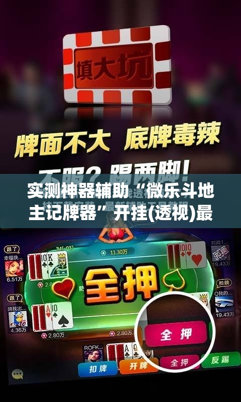 实测神器辅助“微乐斗地主记牌器”开挂(透视)最新辅助详细