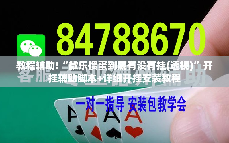 教程辅助!“微乐掼蛋到底有没有挂(透视)”开挂辅助脚本+详细开挂安装教程