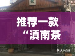 推荐一款“滇南茶馆开挂辅助器通用版”原来可以开挂