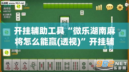 开挂辅助工具“微乐湖南麻将怎么能赢(透视)	”开挂辅助脚本+详细开挂安装教程