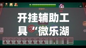 开挂辅助工具“微乐湖南麻将怎么能赢(透视)”开挂辅助脚本+详细开挂安装教程