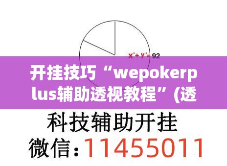 开挂技巧“wepokerplus辅助透视教程”(透视)其实确实有挂