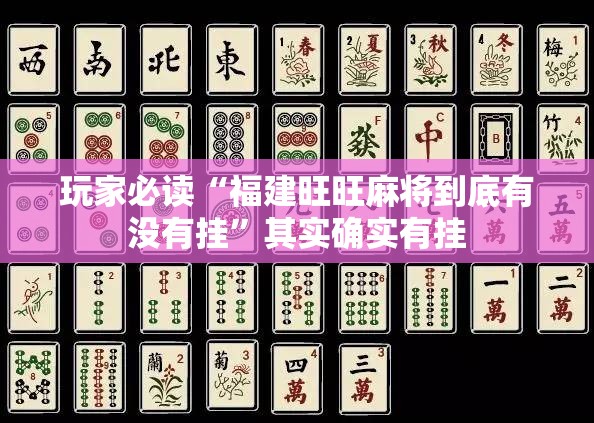 玩家必读“福建旺旺麻将到底有没有挂”其实确实有挂