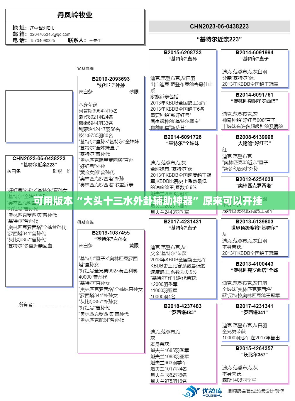 可用版本“大头十三水外卦辅助神器”原来可以开挂
