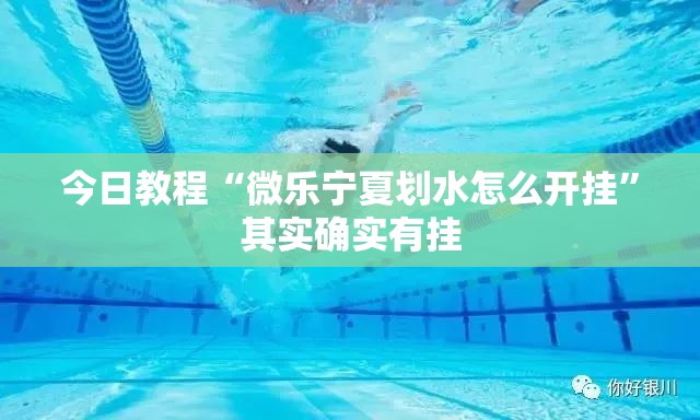 今日教程“微乐宁夏划水怎么开挂”其实确实有挂